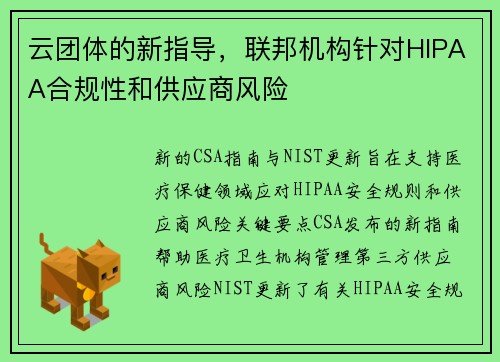 云团体的新指导，联邦机构针对HIPAA合规性和供应商风险 